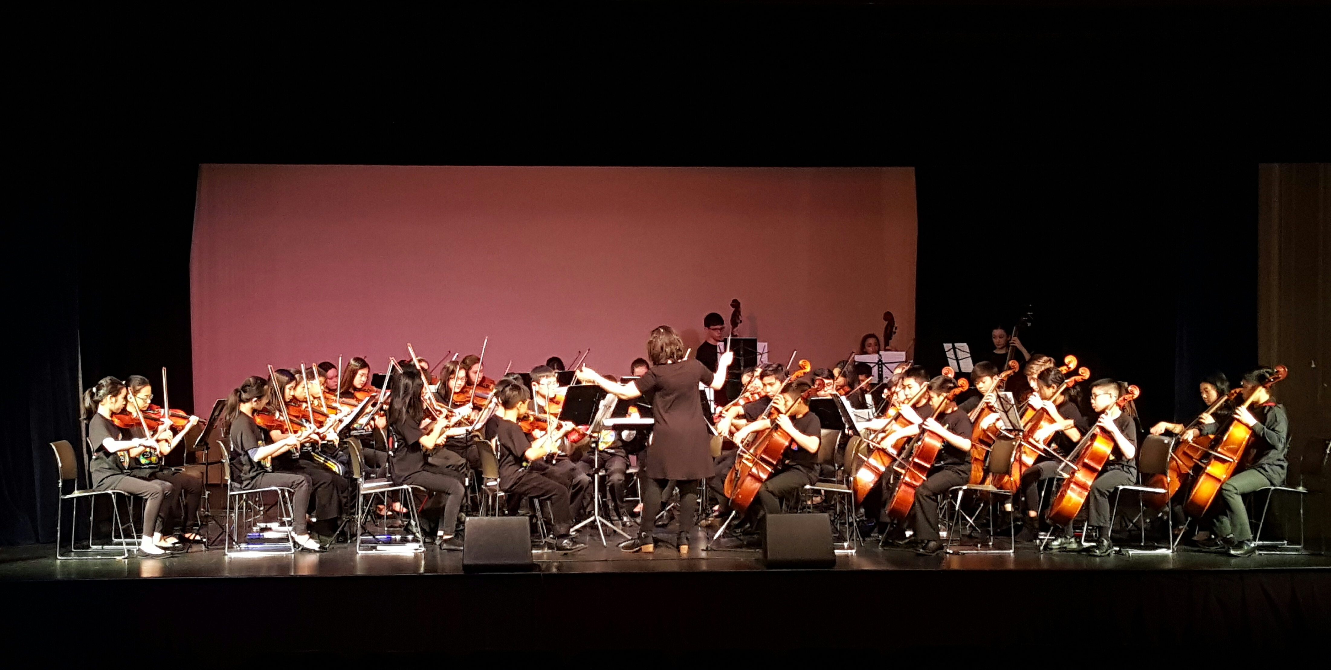 Nassau String Orchestra performs Children's Concert at Landmark Theater 2018