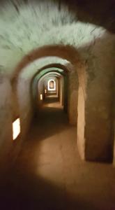 3 Terezin (12)